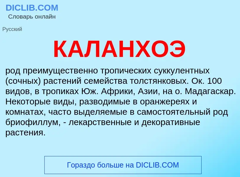 Что такое КАЛАНХОЭ - определение