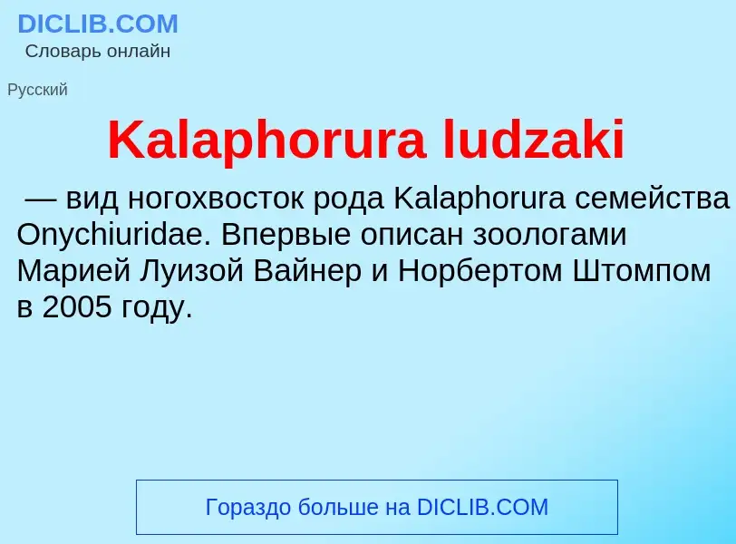 Что такое Kalaphorura ludzaki - определение