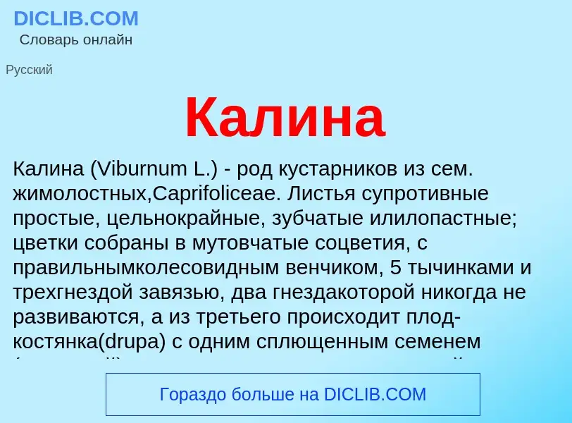 ¿Qué es Калина? - significado y definición