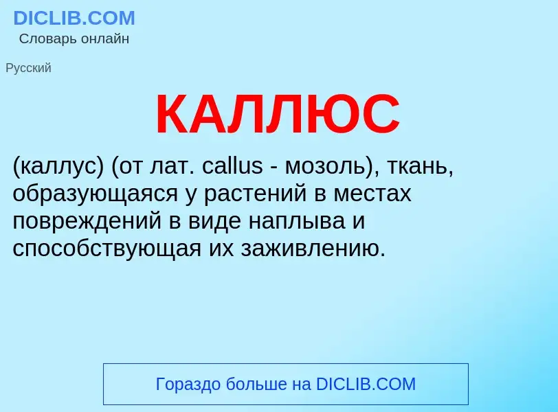 Was ist КАЛЛЮС - Definition