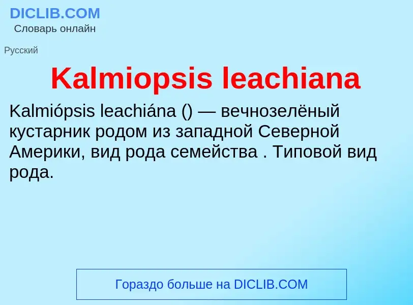 Wat is Kalmiopsis leachiana - definition