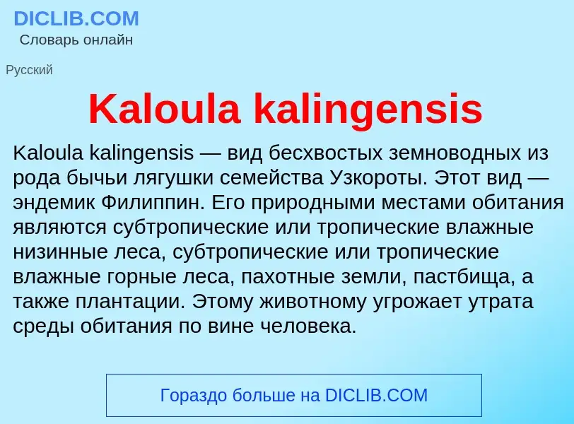 Τι είναι Kaloula kalingensis - ορισμός