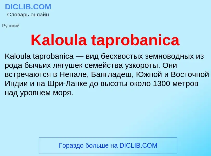 Что такое Kaloula taprobanica - определение