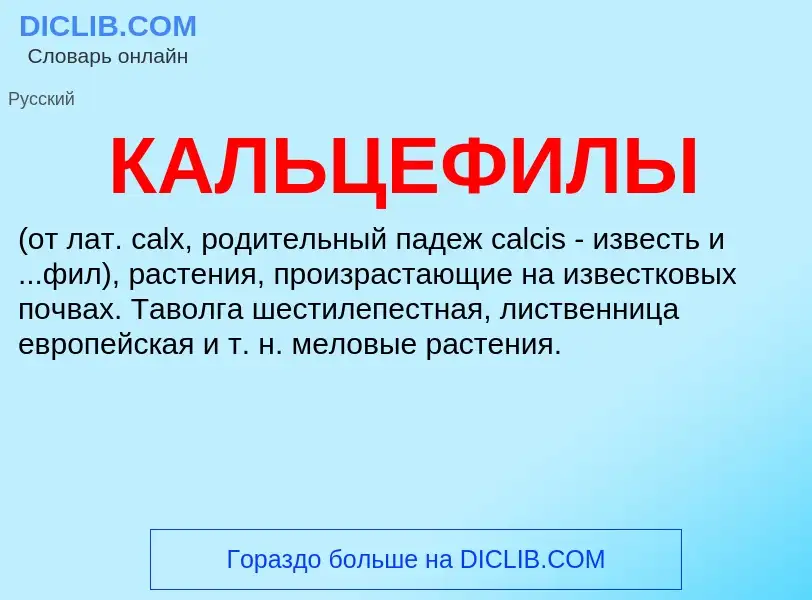 ¿Qué es КАЛЬЦЕФИЛЫ? - significado y definición