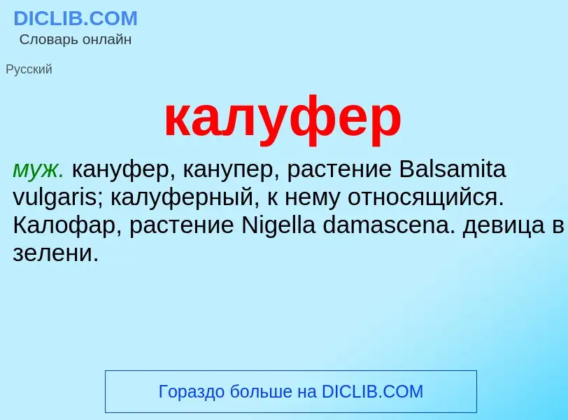 What is калуфер - definition