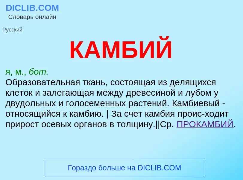 What is КАМБИЙ - meaning and definition