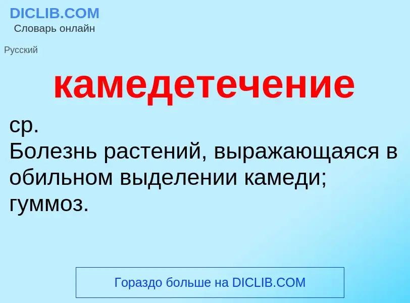 O que é камедетечение - definição, significado, conceito