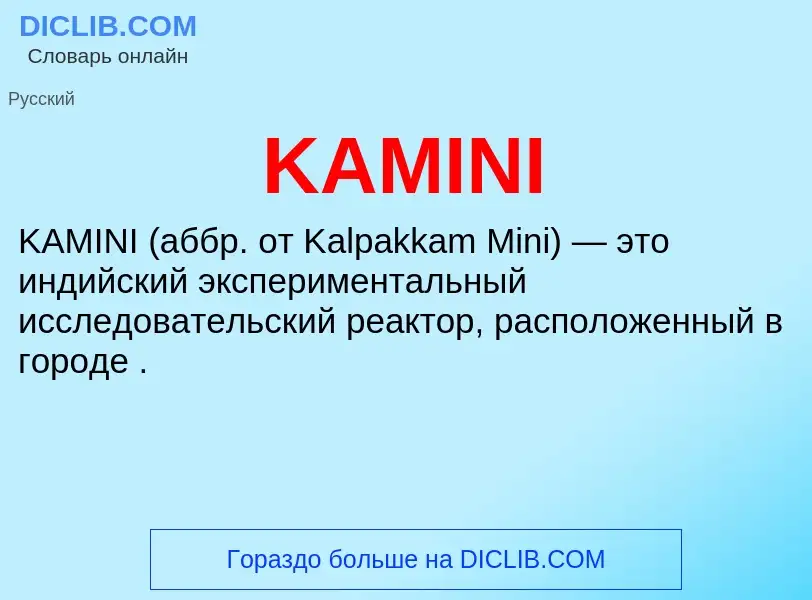 Что такое KAMINI - определение