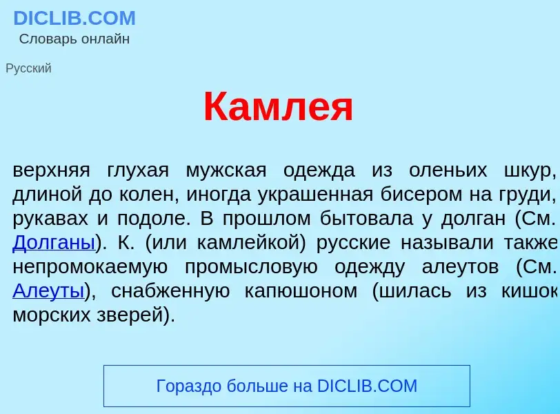 Что такое Камл<font color="red">е</font>я - определение