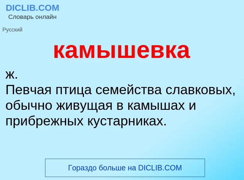 Что такое камышевка - определение