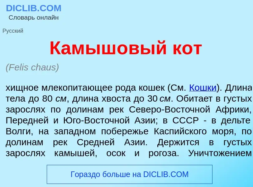 What is Камыш<font color="red">о</font>вый кот - definition