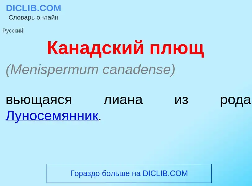 Что такое Кан<font color="red">а</font>дский плющ - определение