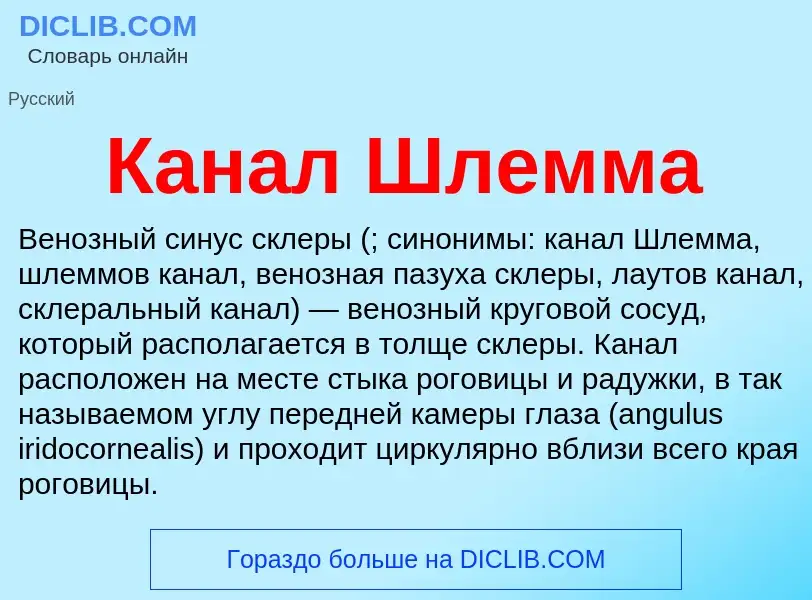 Что такое Канал Шлемма - определение