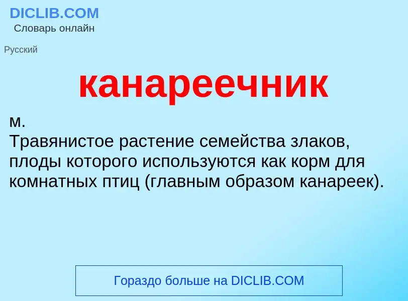 O que é канареечник - definição, significado, conceito