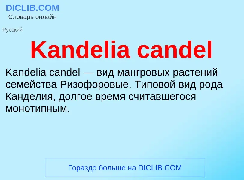 Что такое Kandelia candel - определение