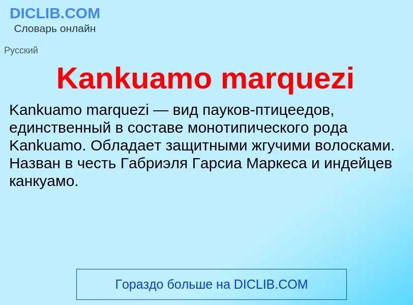 Τι είναι Kankuamo marquezi - ορισμός