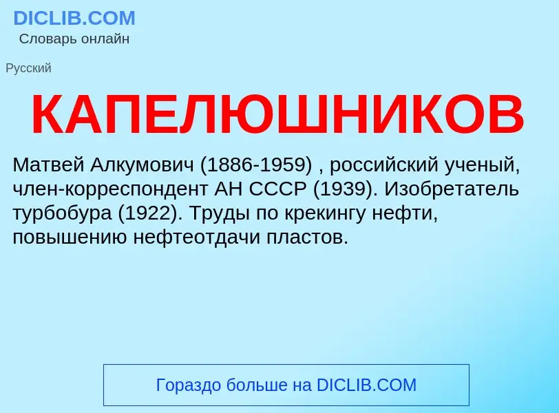 Was ist КАПЕЛЮШНИКОВ - Definition