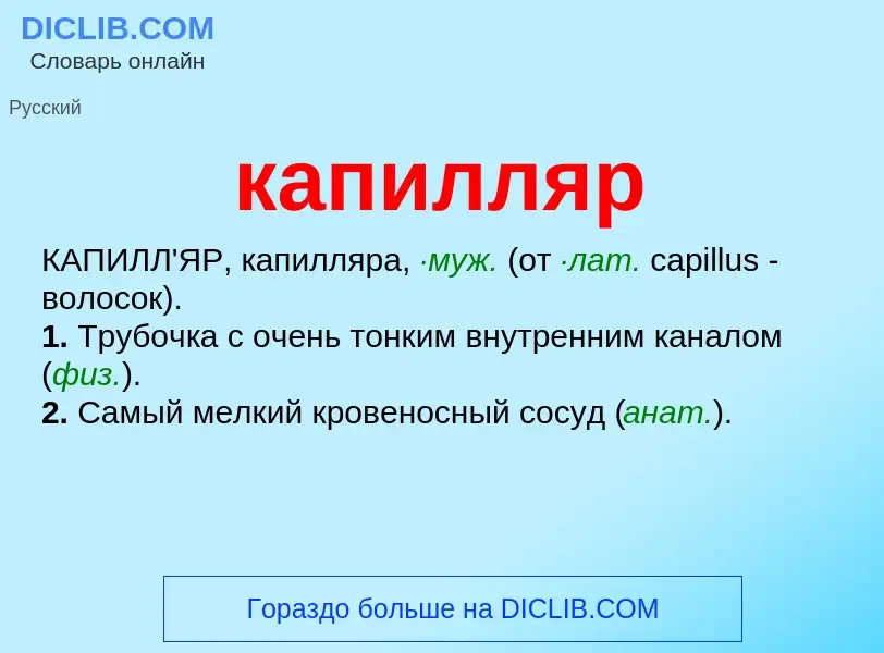 What is капилляр - meaning and definition