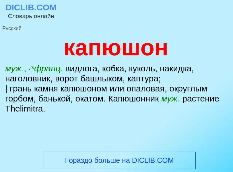 Was ist капюшон - Definition