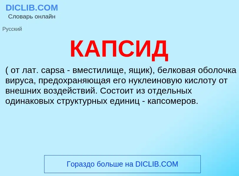 Was ist КАПСИД - Definition