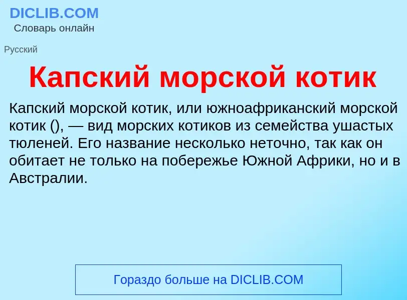 Что такое Капский морской котик - определение