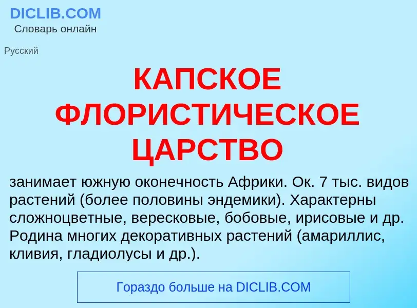 Was ist КАПСКОЕ ФЛОРИСТИЧЕСКОЕ ЦАРСТВО - Definition