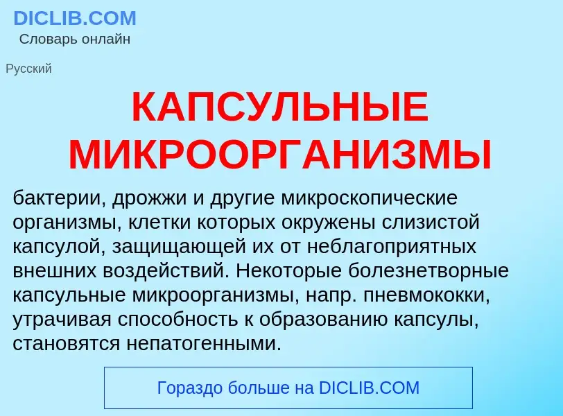 Was ist КАПСУЛЬНЫЕ МИКРООРГАНИЗМЫ - Definition