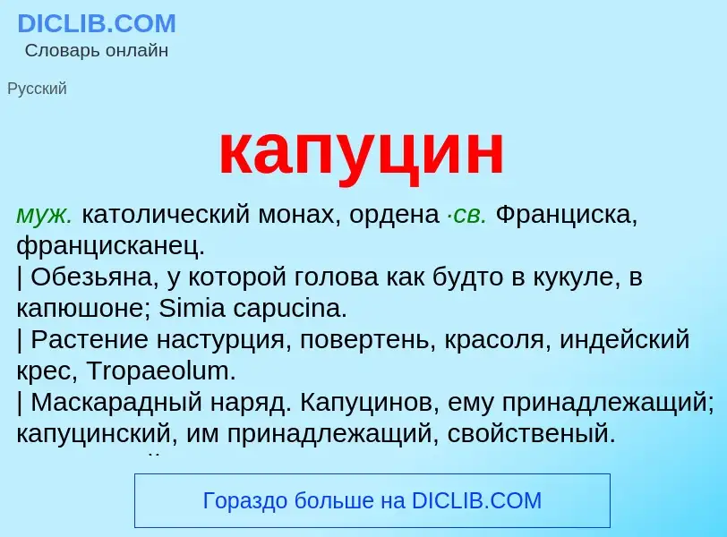 Was ist капуцин - Definition