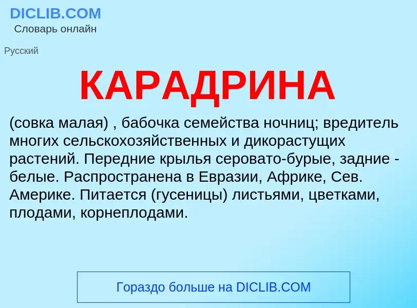 Was ist КАРАДРИНА - Definition