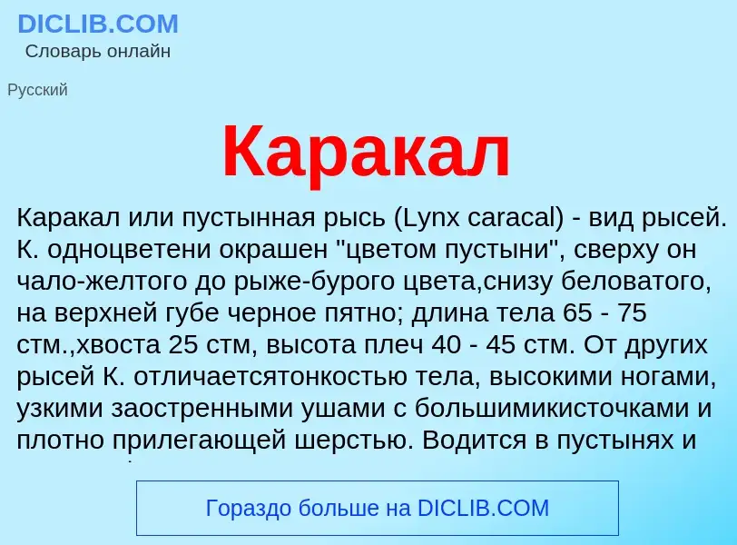 Was ist Каракал - Definition