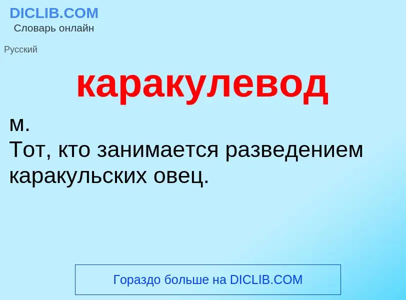 Was ist каракулевод - Definition