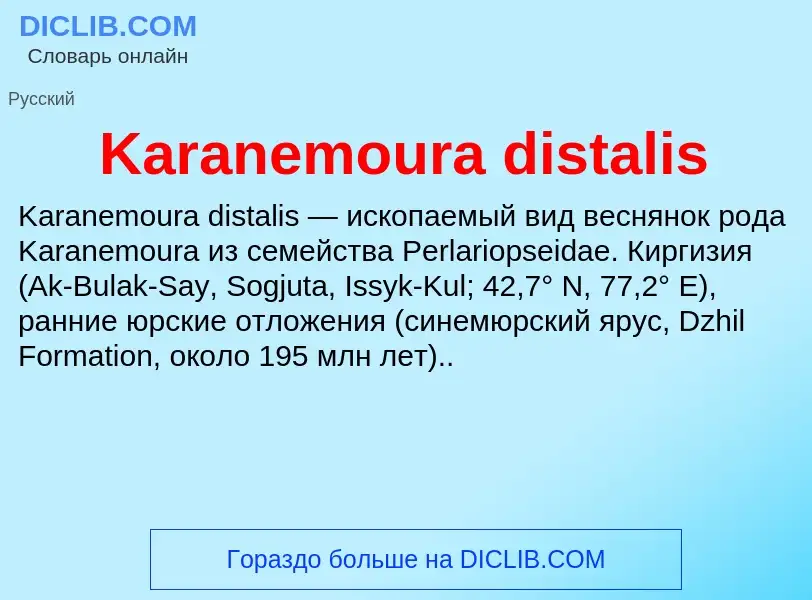 ¿Qué es Karanemoura distalis? - significado y definición