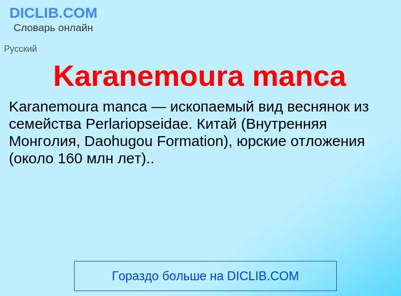 Wat is Karanemoura manca - definition