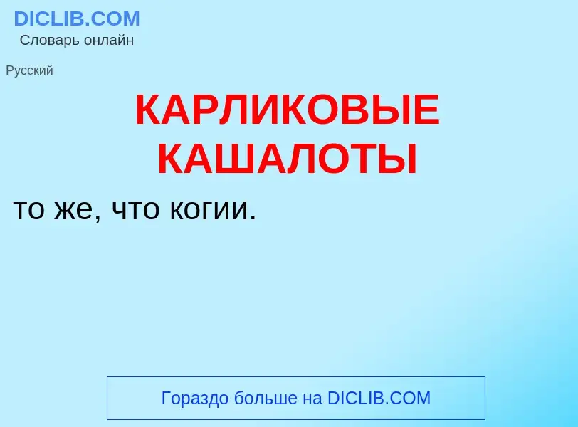 Was ist КАРЛИКОВЫЕ КАШАЛОТЫ - Definition