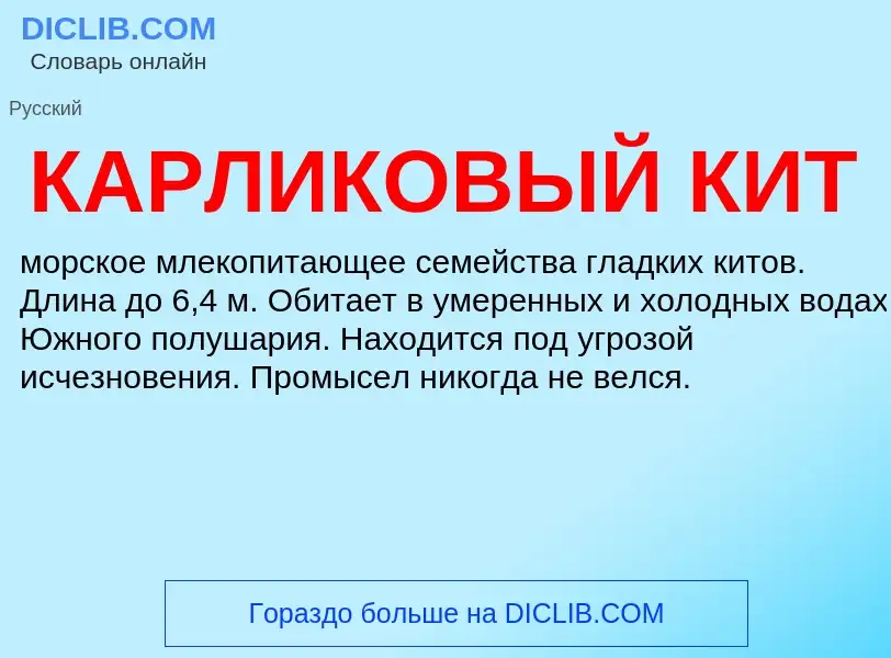 Was ist КАРЛИКОВЫЙ КИТ - Definition