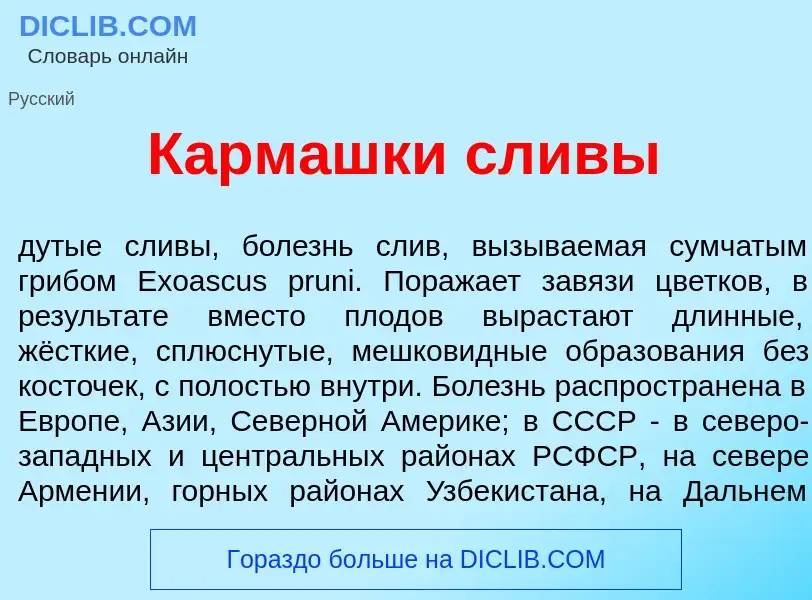 Что такое Карм<font color="red">а</font>шки сл<font color="red">и</font>вы - определение