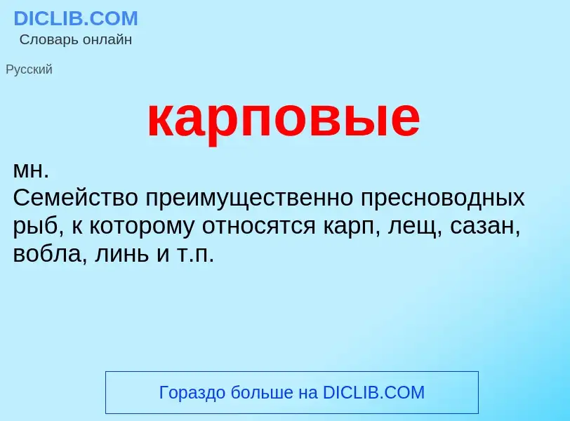 Что такое карповые - определение