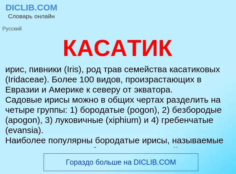 O que é КАСАТИК - definição, significado, conceito