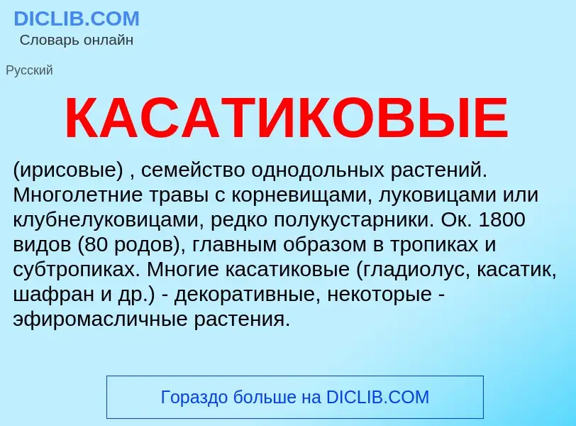 What is КАСАТИКОВЫЕ - definition