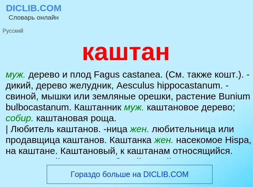 Wat is каштан - definition