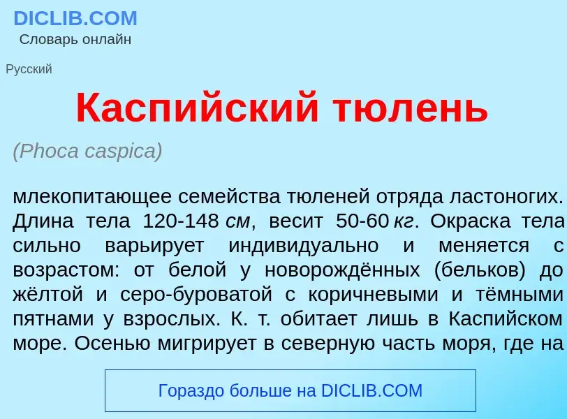 Wat is Касп<font color="red">и</font>йский тюл<font color="red">е</font>нь - definition