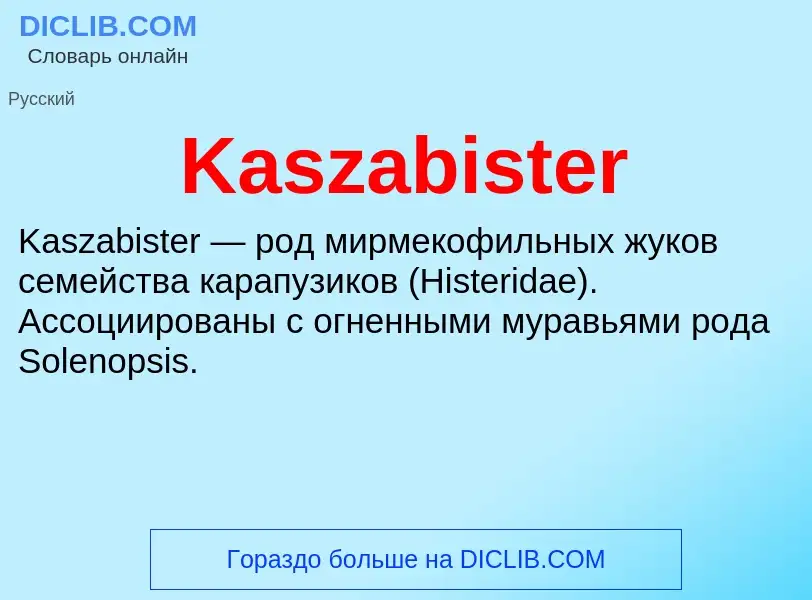 ¿Qué es Kaszabister? - significado y definición