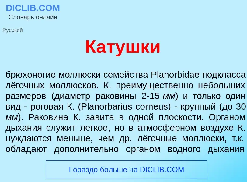 Что такое Кат<font color="red">у</font>шки - определение