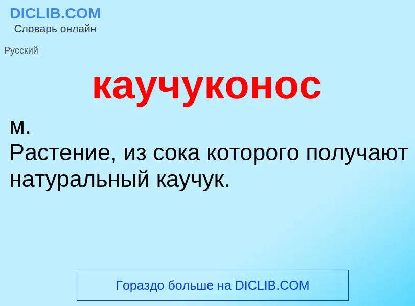 O que é каучуконос - definição, significado, conceito