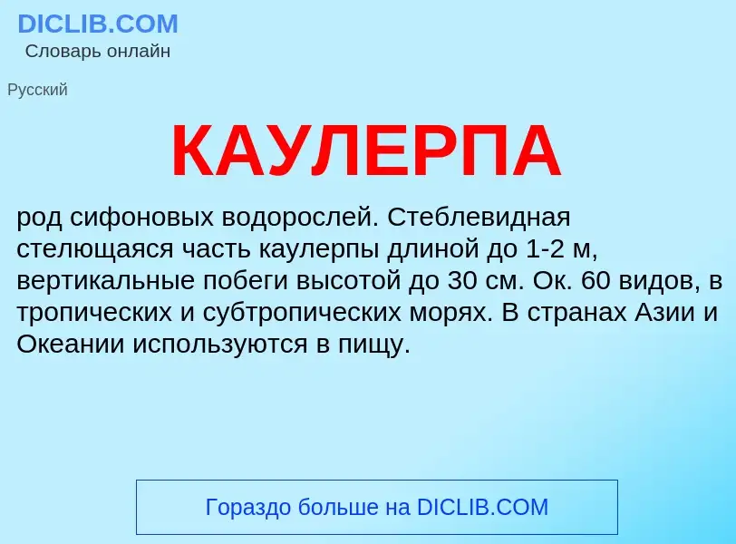 What is КАУЛЕРПА - meaning and definition