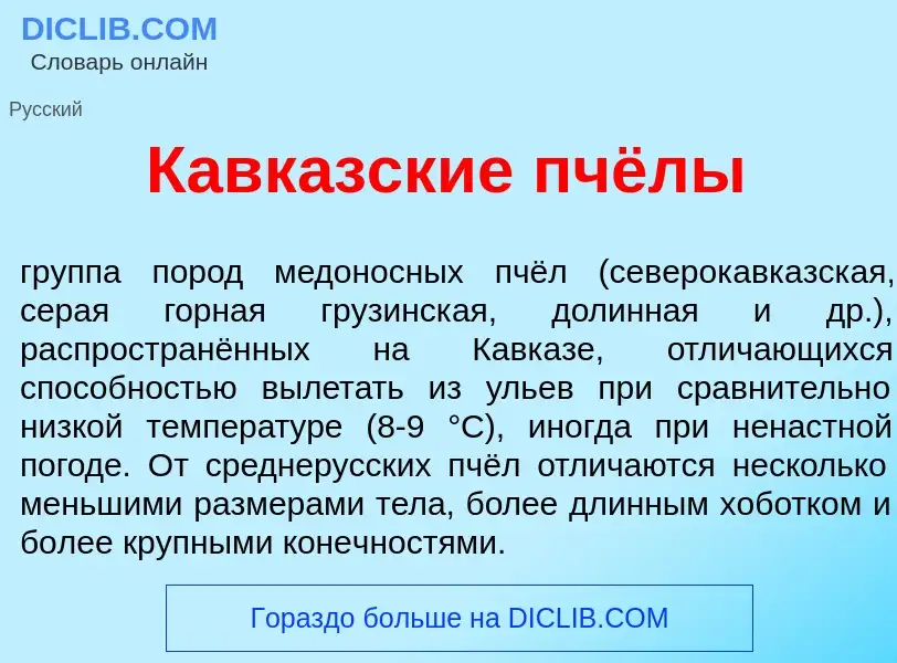 Wat is Кавк<font color="red">а</font>зские пчёлы - definition