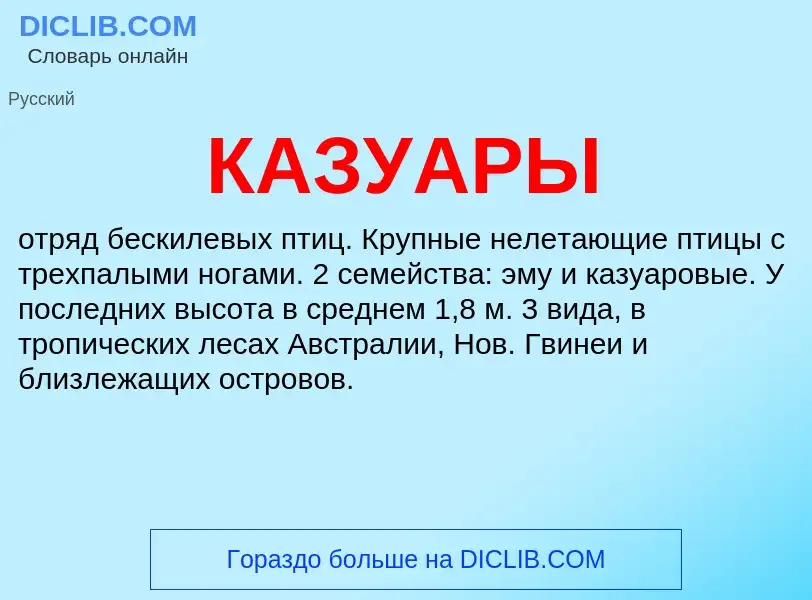 Was ist КАЗУАРЫ - Definition