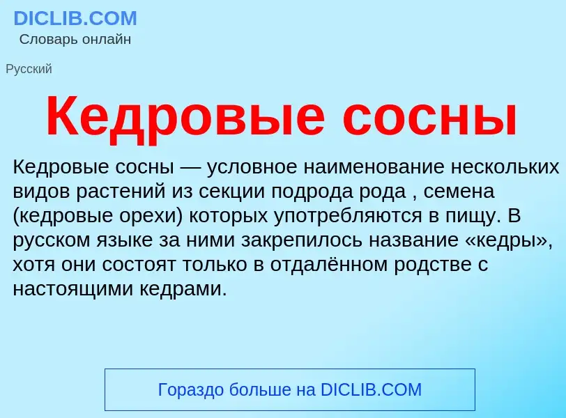 ¿Qué es Кедровые сосны? - significado y definición