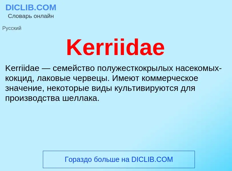 Что такое Kerriidae - определение