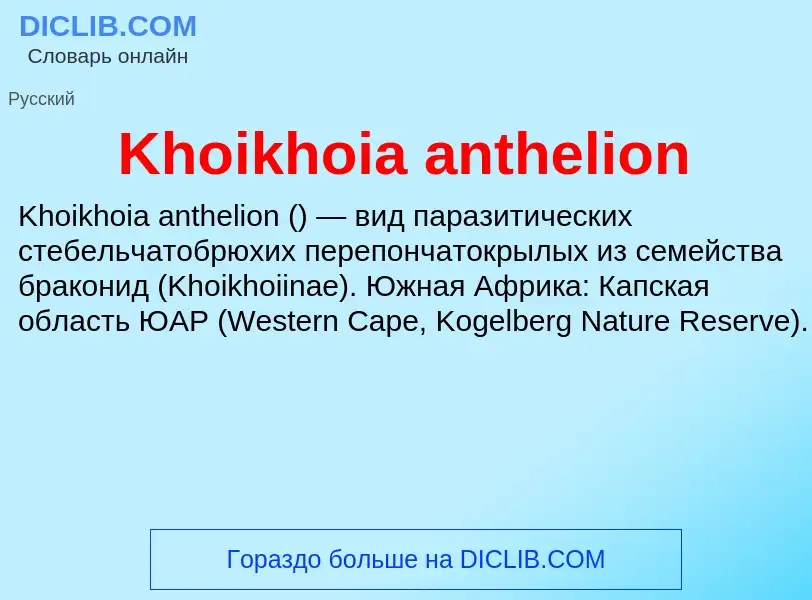 ¿Qué es Khoikhoia anthelion? - significado y definición